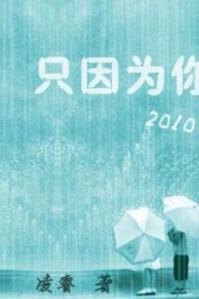 [Thực Văn] [Âu Dương Minh Cẩn hệ liệt] Chỉ Vì Ngươi – Lăng Duệ