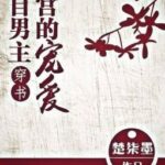 (GL/BHTT) (Xuyên thư) Đến từ nam chủ hậu cung sủng ái – Sở Thất Mặc