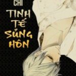 [DANMEI] Trọng sinh chi tinh tế sủng hôn