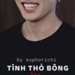 JK | Tình Thỏ Bông