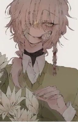 [Countryhumans]{AllxVietnam}|Nhật ký xuyên nhanh!?Phản diện phục thù? Poster