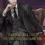 Sau Khi Chia Tay, Tôi Với Ông Chủ Cưới Vội
